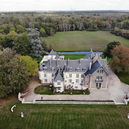 Chateau De La Faye Menetreol-sur-Sauldre Zewnętrze zdjęcie