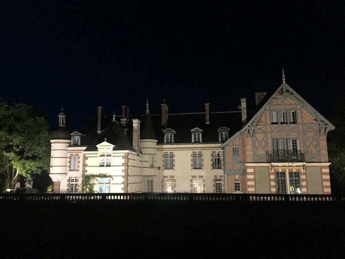 Chateau De La Faye Menetreol-sur-Sauldre Zewnętrze zdjęcie