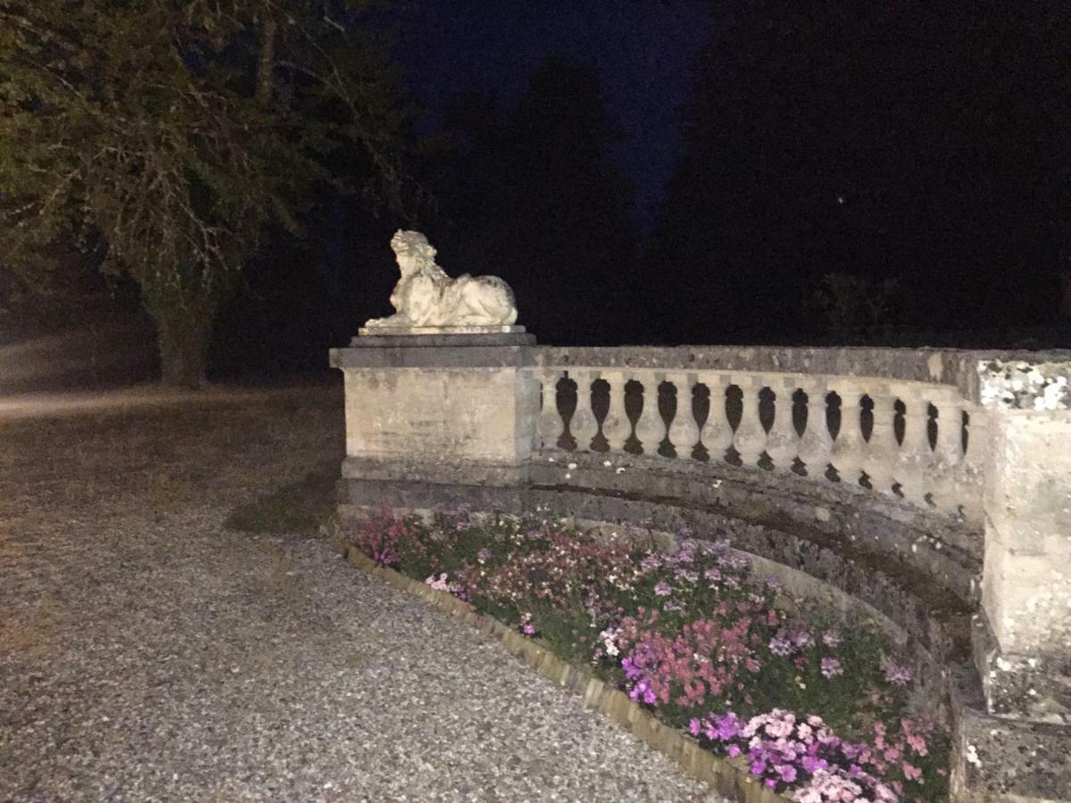 Chateau De La Faye Menetreol-sur-Sauldre Zewnętrze zdjęcie